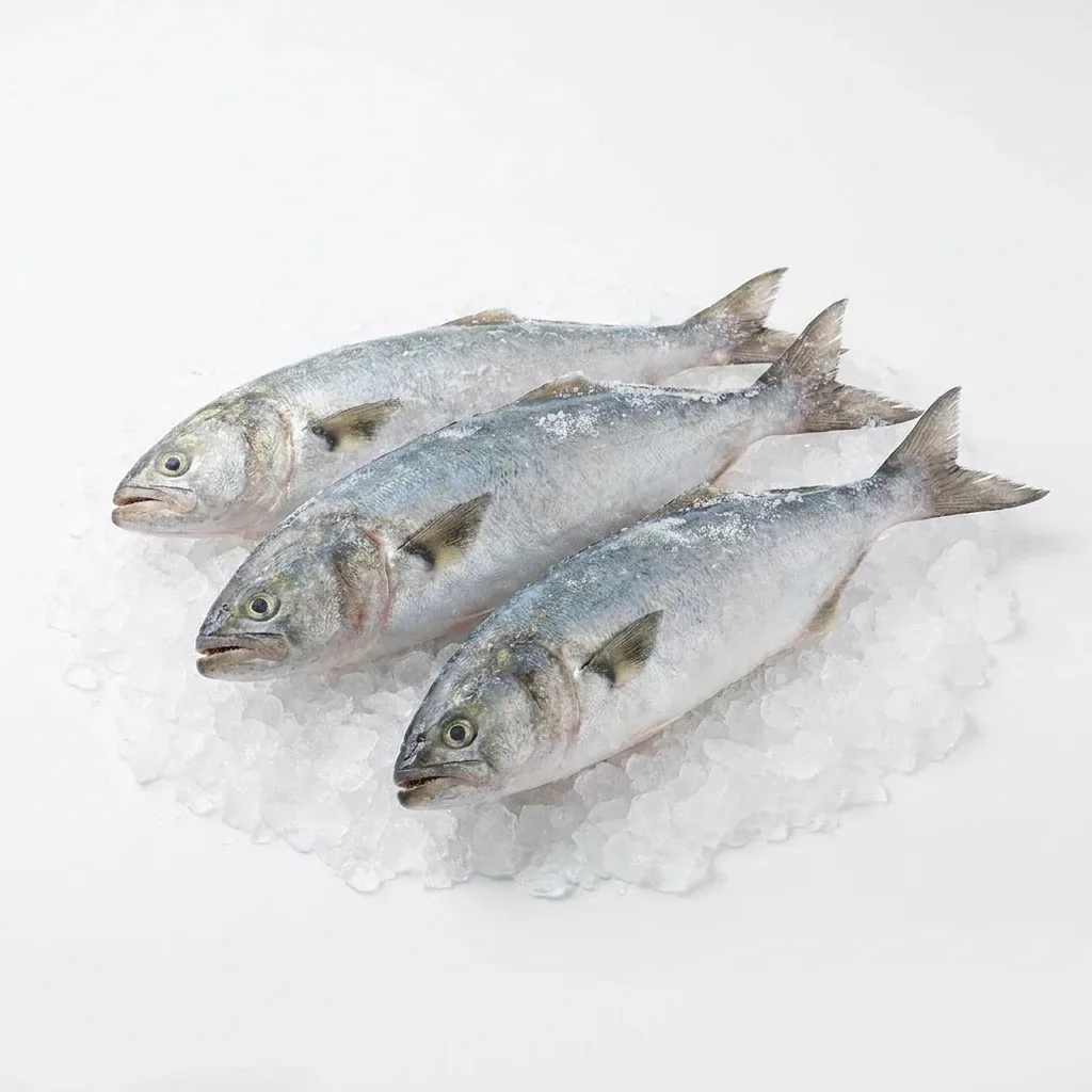 Lüfer Taze Donuk 3-4 Adet 1 Kg