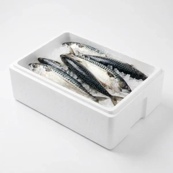 Kolyoz 5 Kg Kasa