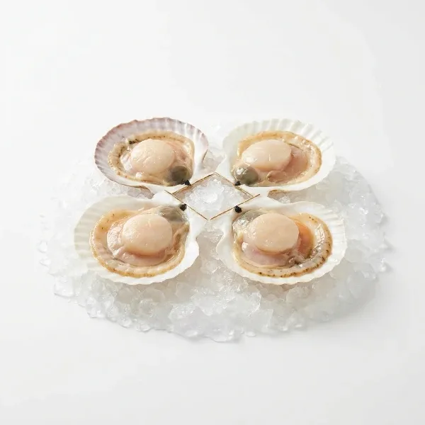 4'lü Scallop (Deniz Tarağı)