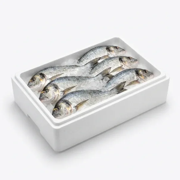 Çipura 400-600 Gr (5 Kg Kasa)