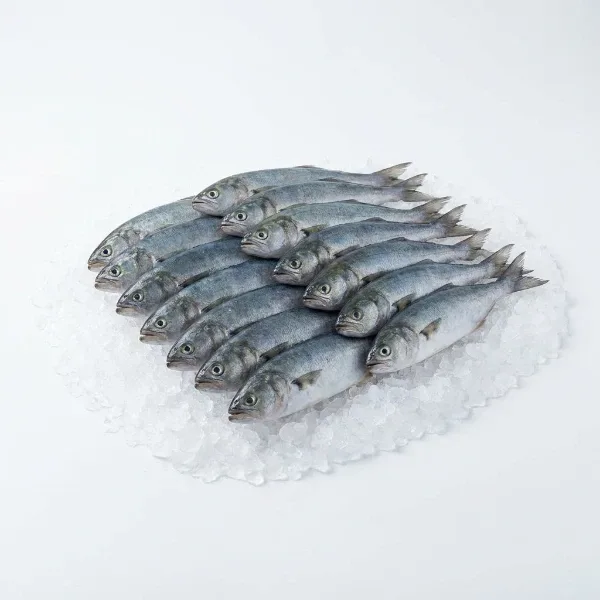 Lüfer (Sarıkanat) 10-15 Adet 1 Kg
