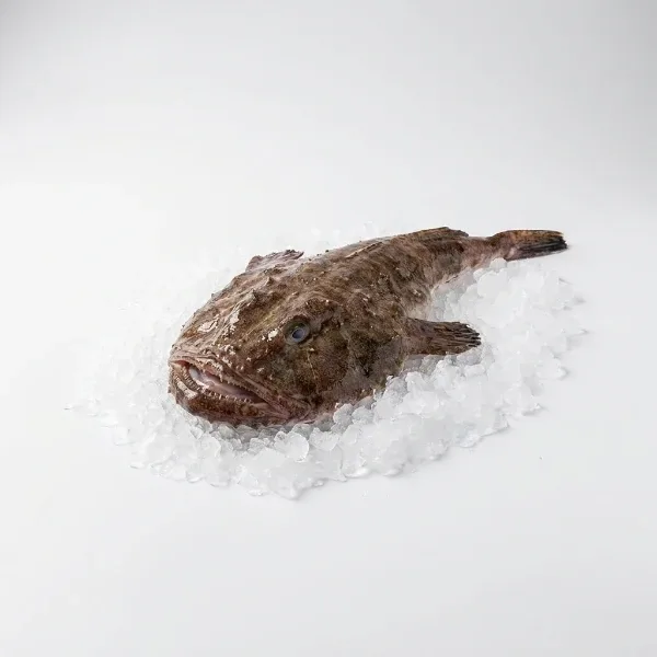 Fener Balığı 1 Kg