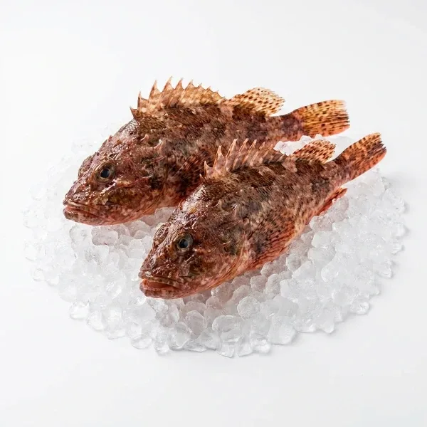İskorpit 1 Kg