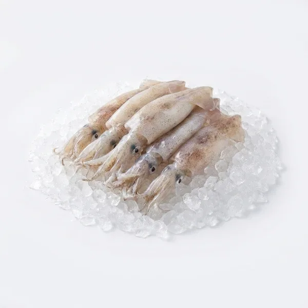 Kalamar (Bülbül) 1 Kg