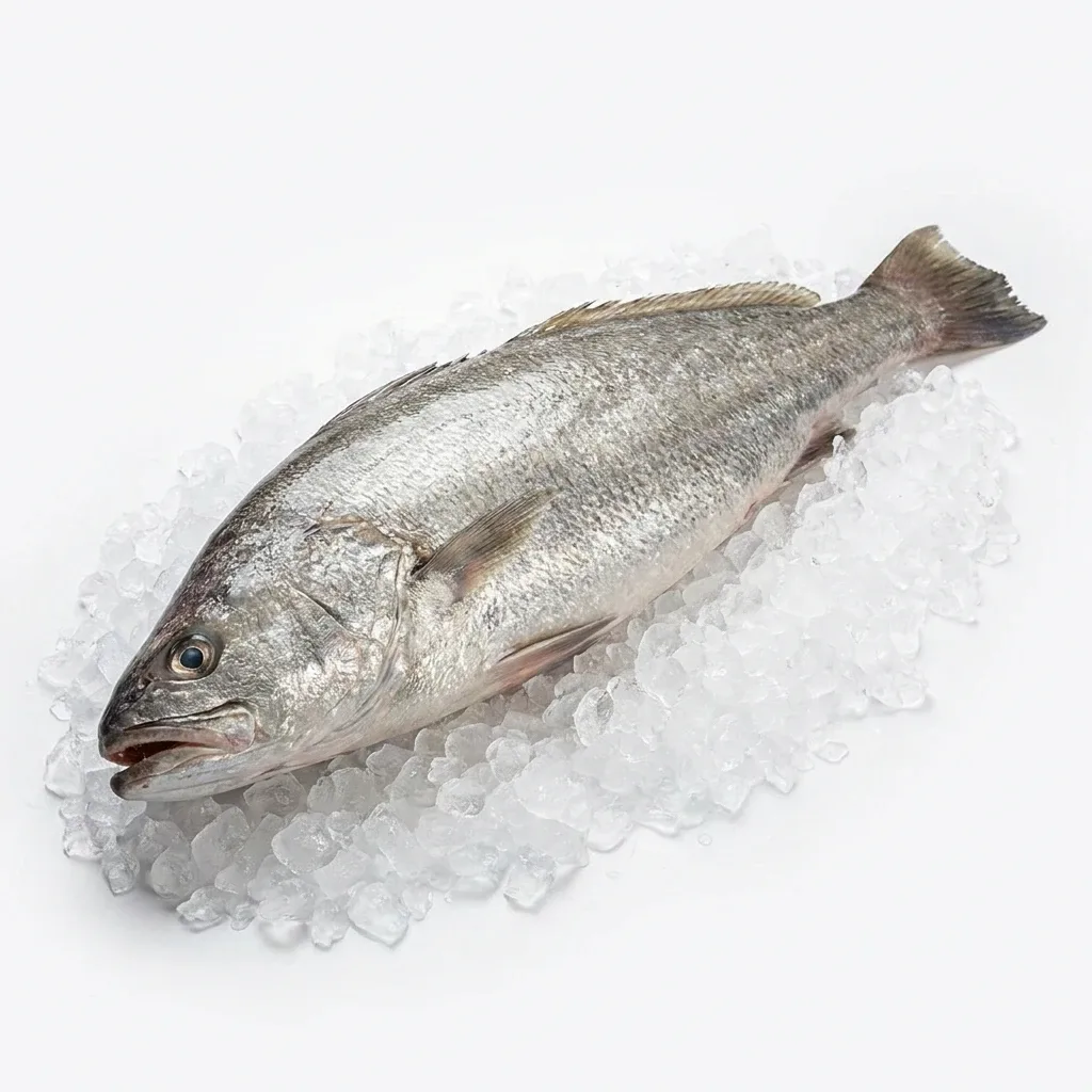 Granyöz (Kaya Levreği) 2 Kg Adet
