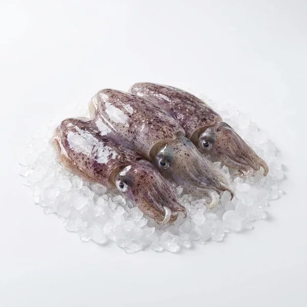 Kalamar Sübye 1 Kg