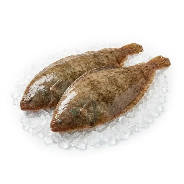 Dil Balığı Kg