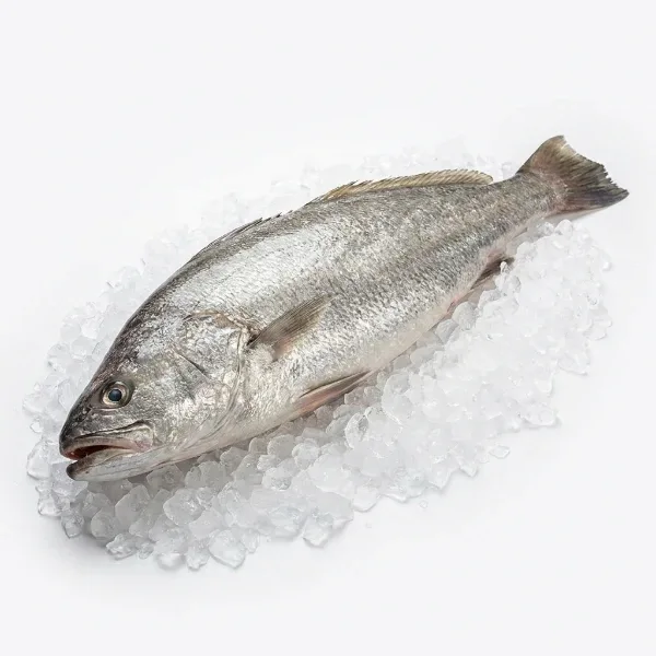 Granyöz (Kaya Levreği) 2 Kg Adet